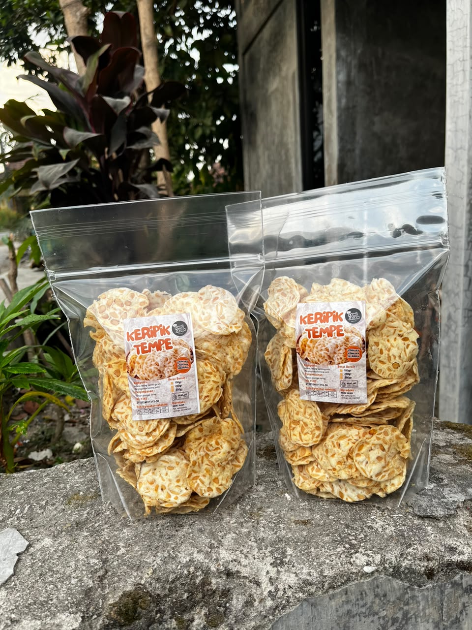 Keripik Tempe